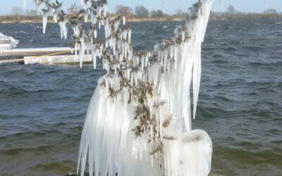 Sportschipper 03/2021