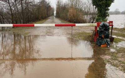 Erste Bestandsaufnahme nach dem Hochwasser