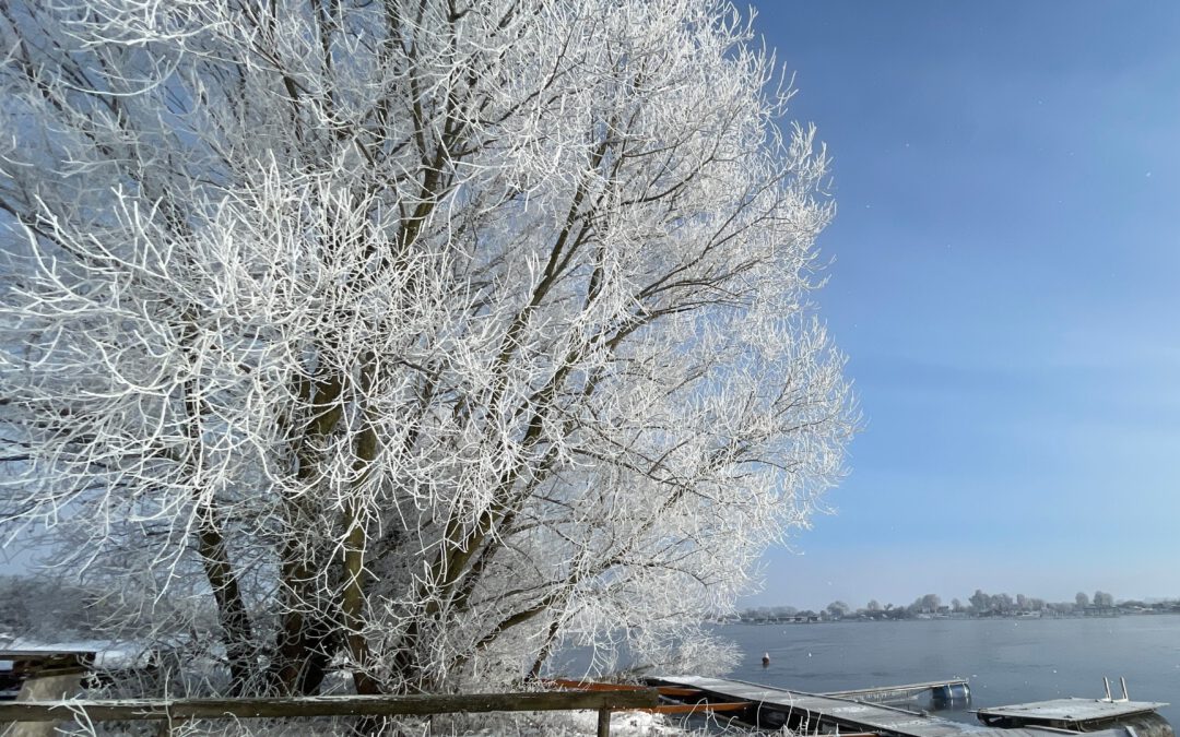 Wieltsee im Winter mit Eis und blauem Himmel